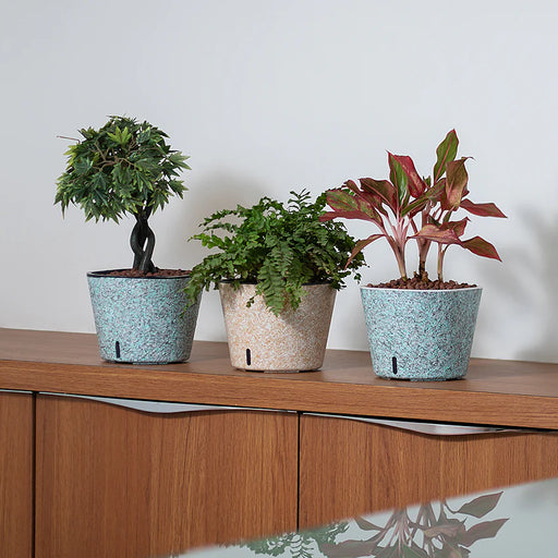 Cube Painted Planter Pot