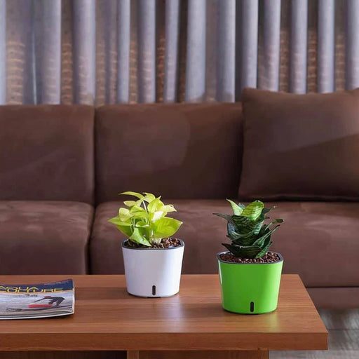 Cube Pots