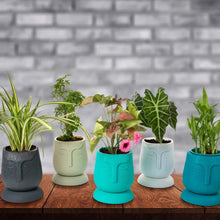 Face Kraft with Bottom Tray - Set of 5