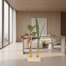 Test Tube Planter – TTP2 - Set of 2