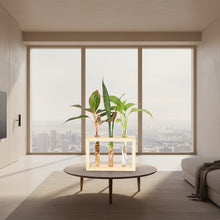 Test Tube Planter – TTP4 - 1 pc