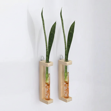 Test Tube Planter – TTP5 - Set of 2