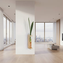 Test Tube Planter – TTP5 - Set of 2