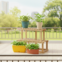 Money Plant Golden Combo with Eco, Cone, Recta Self-Watering & Oval Pots (4 Pots)