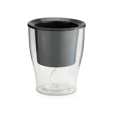 Cavender Clear Recta Pot (Set of 3) with Golden Money Plant