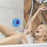 Waterproof Wireless Bluetooth Speaker with LED & Mic