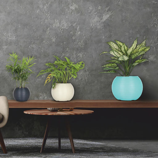 Jupiter Pot – Modern Round Textured Planter