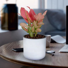 Lorenzo Round Planter Pot