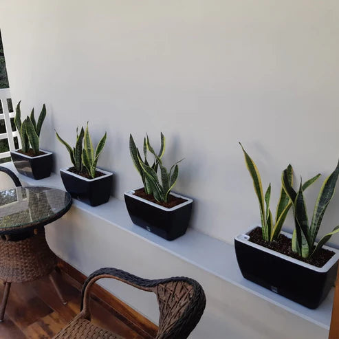Recta Big Self-Watering Planter