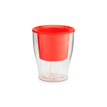 Roots in Clarity – 3 Clear Pots