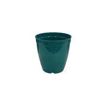 Peace Lily Plant + 4 Designer Pots | Roto Dove White, Eco, Cone Painted & Cube Painted