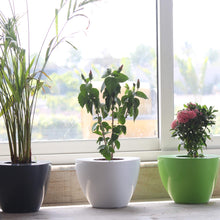 Triangle Pots