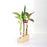 Test Tube Planter – TTP3