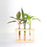 Test Tube Planter – TTP4
