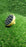 Handheld shampoo brush for scalp