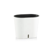 Cavender Pots - Set of 3