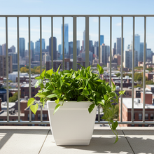 Roto Dove White Square Planter