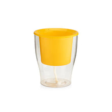 Roots in Clarity – 3 Clear Pots