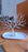 Deer Antlers Jewellery Holder Deer Tree Jewellery Tower Stand (1 Pc)