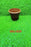 6-inch brown garden pot for small plants