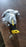 Small Hammer Camping Hammer, Mini hammerr, for Indoor Outdoor Using