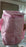 Cute Animal Zip Lunch Bag with Adjustable Strap – Reusable & Durable (1 Pc)