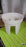 Riding Pot Bling Decor Creative Flowerpot Balcony Flower Pot Holder (1 Pc / MOQ :- 2 Pc)