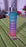 Plastic Motivational Water Bottle (300 ML)