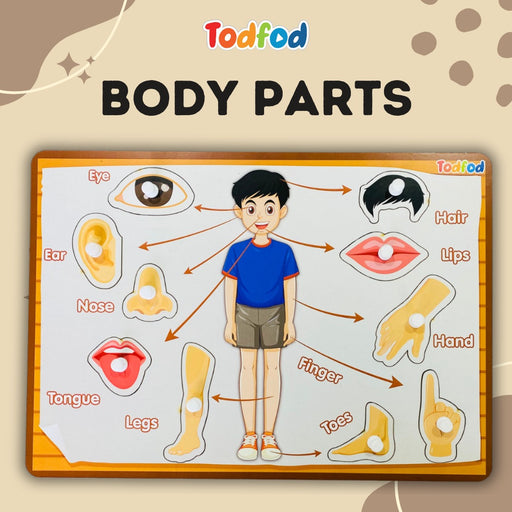 Todfod Kids Body Parts Learning Puzzle