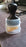 Mini Car Interior Cleaning Soft Brush -Car Cleaning Brushes Duster (1 Pc)