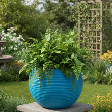 Roto Dove White Square Plant