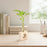 Test Tube Planter – TTP1